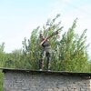Anton, 43, Protvino