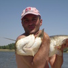 Dmitriy, 54, Vlasikha