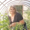 Natalya, 51, Nizhny Novgorod